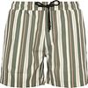 Anerkjendt Badeshorts Shark Streifen Grün 901490-4070 kaufen | Suitable