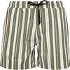 Anerkjendt Shark Swimshorts Stripes Green order online | 901490-4070 | Suitable Norway