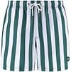 Shiwi Swimshorts Mac Dark Green 1441100200-7835 order online | Suitable