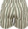 Anerkjendt Short de Bain Shark Vert Rayé Product / Achterkant