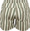 Anerkjendt Shark Swimshorts Stripes Green Product / Achterkant