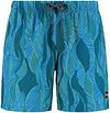 Shiwi Swimshorts Leaves Blue 1431110225-636 order online | Suitable