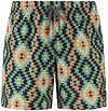 Shiwi Swimshorts Mayan Print Green 1441110251-710 order online | Suitable