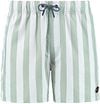 Shiwi Swimshorts Mac Light Green 1441100200-7810 order online | Suitable