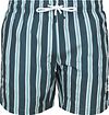Suitable Short de Bain Stripe Vert SW-STR-25-14 GREEN commander en ligne | Suitable