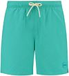 Shiwi Short de Bain Mike Vert  1525107100-6036 commander en ligne | Suitable