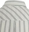 Anerkjendt Shirt Leif White Striped Product / Detail