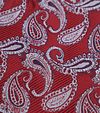 Suitable Krawatte Paisley Rot Product / Detail
