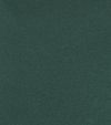 Colorful Standard T Shirt Emerald Green Product / Detail
