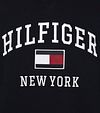 Tommy Hilfiger Big and Tall Sweater Navy Product / Detail