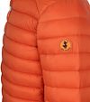 Save The Duck Jacket Alex Ginger Orange Product / Detail