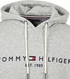 Tommy Hilfiger Hoodie Core Grau Product / Detail