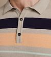 Vanguard Knitted Polo Shirt Beige Model / Detail