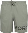Bjorn Borg Short de Bain Logo Agave Vert 10004098-GN081 commander en ligne | Suitable