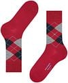 Burlington Manchester Sok Ruit Rood 8048 Product