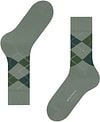 Burlington Wool Edinburgh Green 7068 Product / Detail