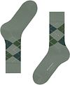 Product / Detail