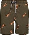 Shiwi Swimshorts Scorpion Dark Green order online | 4192111153-756 | Suitable Lithuania