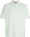 Tommy Hilfiger Big & Tall Polo Shirt Green MW0MW36066-LXY order online | Suitable