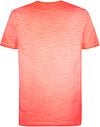 Petrol T-Shirt Stingray Bright Coral Product / Achterkant