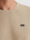 Vanguard T-Shirt Structure Beige Model / Detail