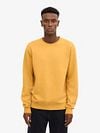 Colorful Standard Sweater Gelb Model / Voorkant