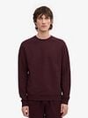 Colorful Standard Sweater Organic Bordeaux Model / Voorkant