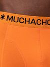Product / Detail