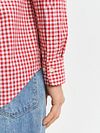 Gant Poplin Banker Shirt Stripe Red Model / Detail