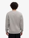 Colorful Standard Sweater Hellgrau Model / Achterkant