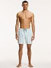 Shiwi Swimshorts Mac Light Green Model / Voorkant