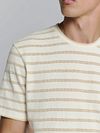 Model / Detail