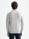 Scotch and Soda Core Pullover Grijs Model / Achterkant