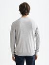 Scotch and Soda Pull-over Core Gris Model / Achterkant