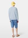 Scotch and Soda Sweater Embroidered Lichtblauw Model / Achterkant