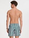 Shiwi Swimshorts Mac Dark Green Model / Achterkant
