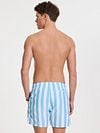 Shiwi Swimshorts Mac Light Blue Model / Achterkant