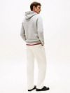 Tommy Hilfiger Hoodie Core Grijs Model / Achterkant