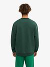 Colorful Standard Pull Vert Bio Model / Achterkant