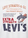 Levi Tee Vintage Graphic Archival Poster Product / Detail