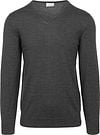 Profuomo Pullover V-Neck Merino Wool Anthracite order online | PPVJ30026C-B | Suitable Spain