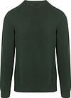 Lacoste Pullover Dark Green Product / Achterkant