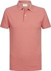 Profuomo Poloshirt Pink Melange  PPUJ10039E-T3 order online | Suitable