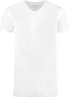 Slater 2-pack T-shirt V-neck White Product