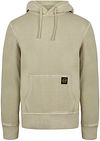 Superdry Hoodie Washed Beige order online | M2013078A-2LH | Suitable Liechtenstein
