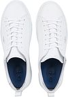 Giorgio Sneaker Adanti Rodi White Product