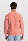 Dstrezzed Pullover Pink Melange Model / Achterkant