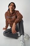 Champion Hoodie Logo Brown Model / Voorkant