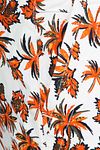 Dstrezzed Wayne Short Oranje Product / Detail