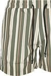 Anerkjendt Shark Swimshorts Stripes Green Product / Detail
